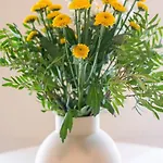 Appartamento Chic Boutique Berlino